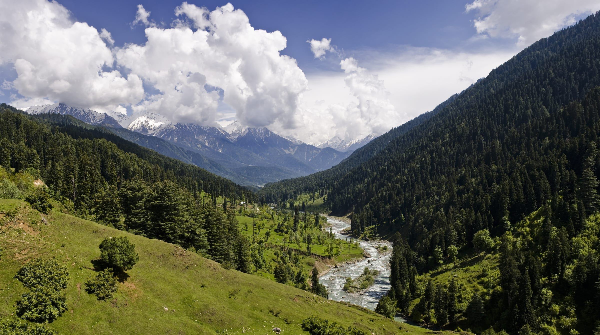 Wide green valley with a river, conifer slopes and snow-covered Himalayan peaks under cumulus cloud, Pahalgam, Kashmir